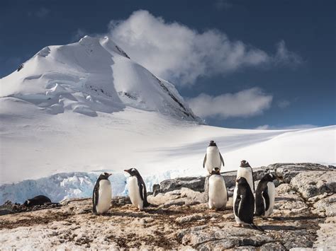 Antarctica Cities (and Five Other Things That Don’t Exist There).